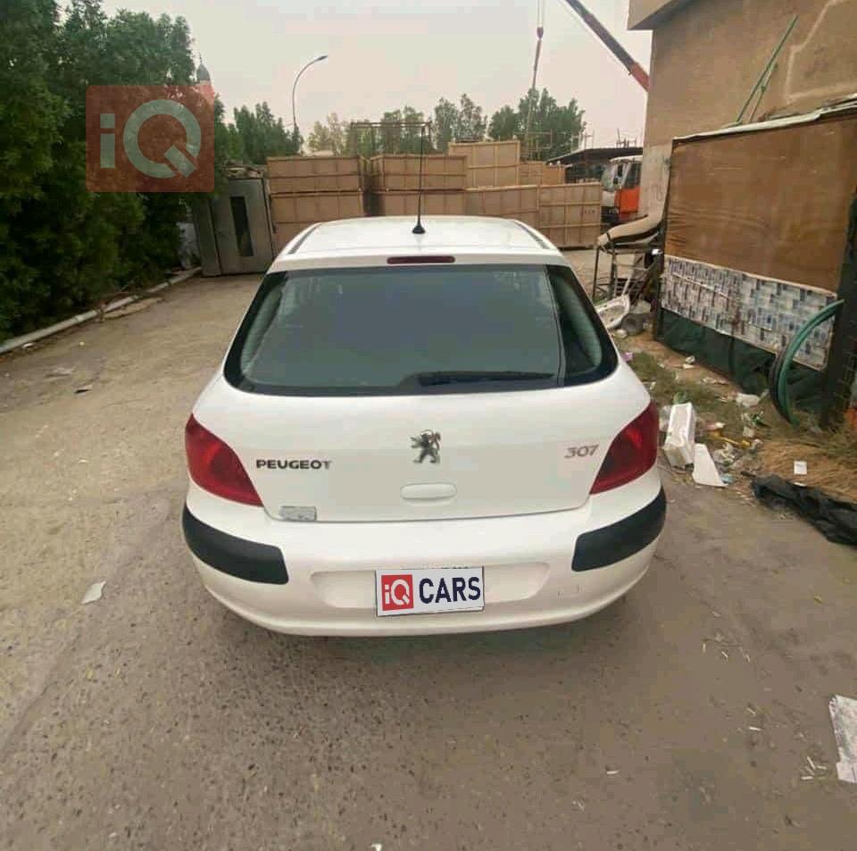بيجو 307